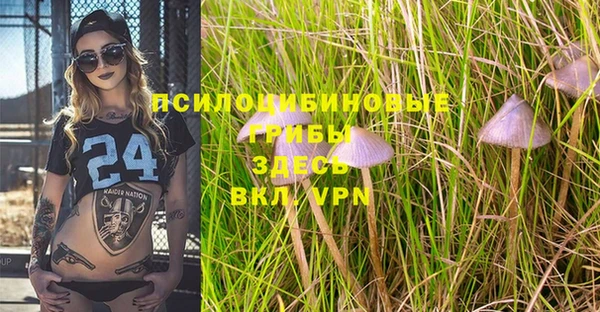 PSILOCYBIN Балабаново