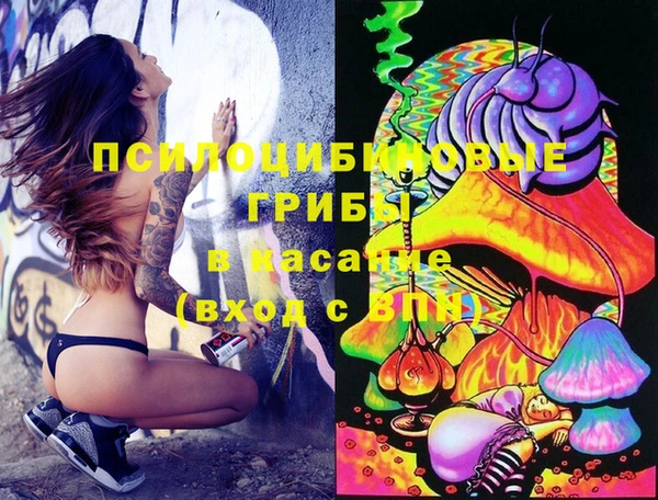 эйфоретик Баксан