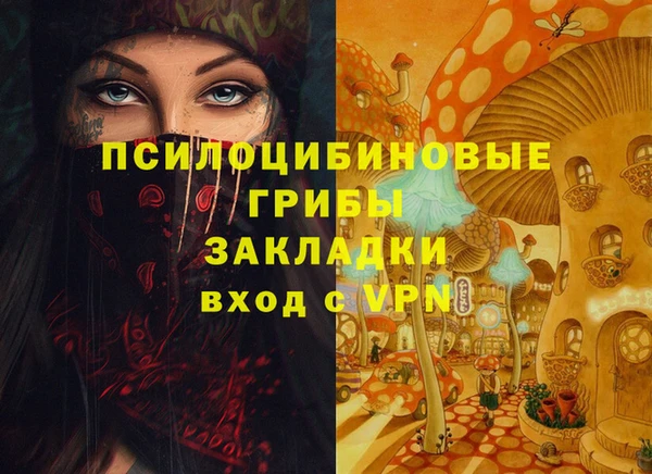 PSILOCYBIN Балабаново
