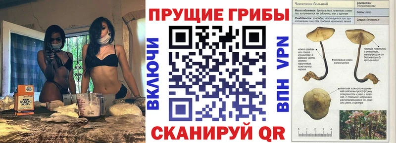 MEGA ССЫЛКА  Неман  Галлюциногенные грибы прущие грибы 